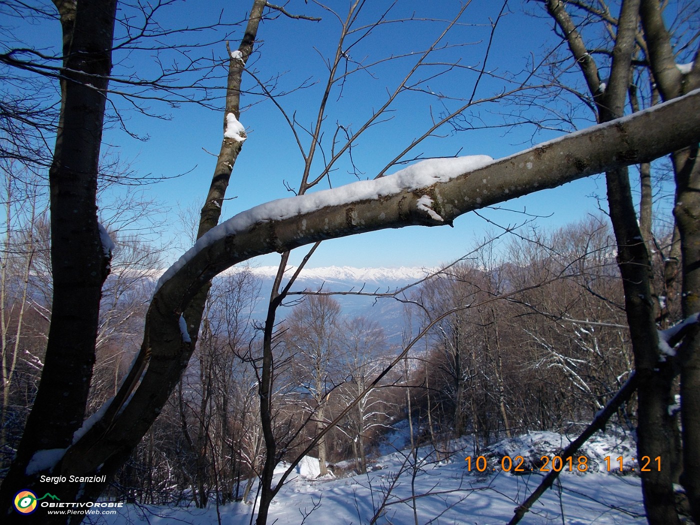 17 UN SERPENTE DI NEVE SUL RAMO PIEGATO.JPG